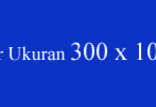 300×100